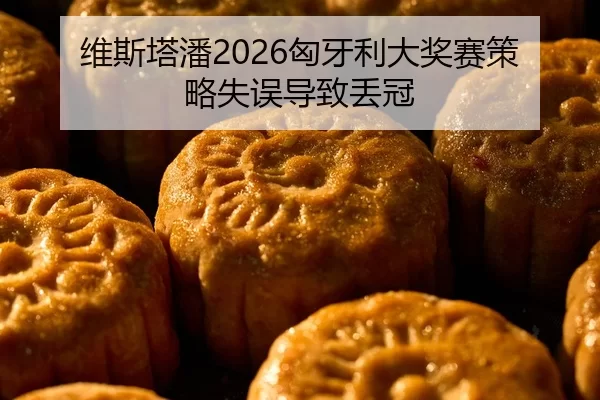 维斯塔潘2026匈牙利大奖赛策略失误导致丢冠