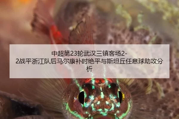 中超第23轮武汉三镇客场2-2战平浙江队后马尔康补时绝平与斯坦丘任意球助攻分析